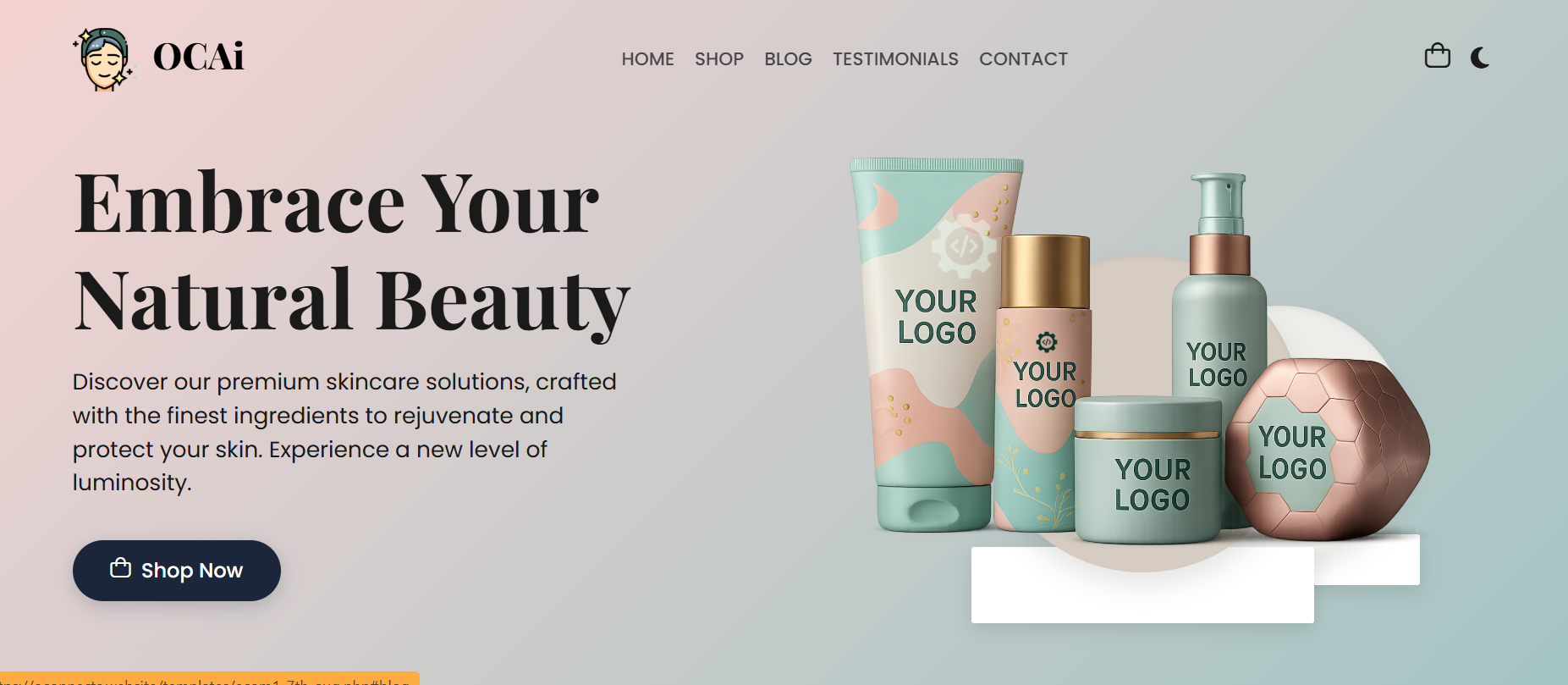 Online Shop Website